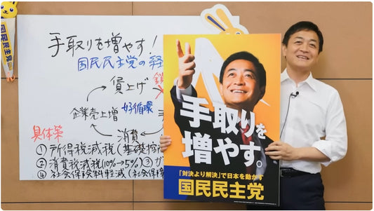 国民民主党の政策