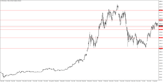 8月31日　BTC